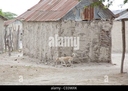 Mud and stick hut with a rusty tin roof Stock Photo