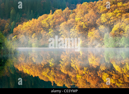 Reflection in Lake Britton with fall colored trees. California Stock Photo
