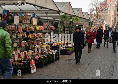 Bulbs and flowers for sale at the Bloemenmarkt Flower Market, Amsterdam Stock Photo