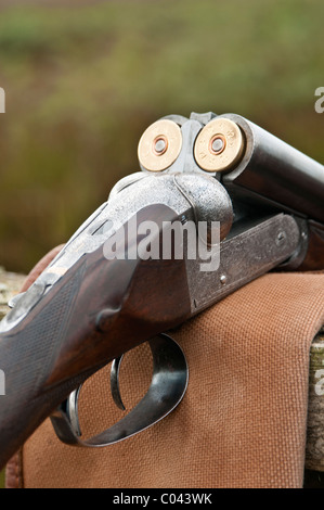 A twelve bore side by side shot gun open and showing cartridges, at rest during a days game shoot in England Stock Photo