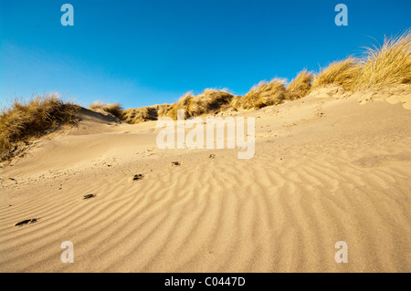 Sand Dunes Camber Sands East Sussex England Stock Photo