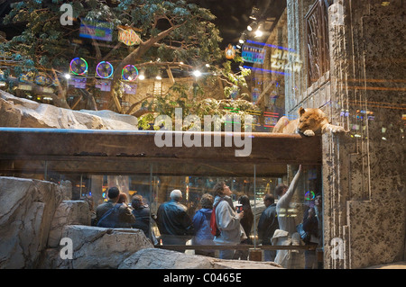 People stand underneath the Lion Habitat at the MGM Grand Hotel and Casino, with slot machines reflected in the glass Stock Photo