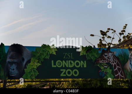 London Zoo sign, close-up, Zoological Gardens entrance, Regents Park, England, UK, Europe, EU Stock Photo