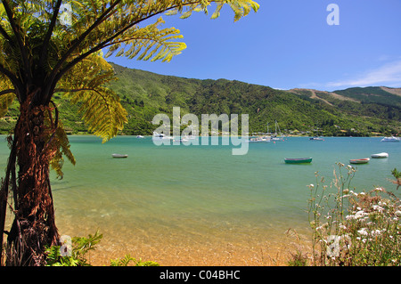 Okiwa Bay from Queen Charlotte Drive, Queen Charlotte Sound, Marlborough Sounds, Marlborough Region, South Island, New Zealand Stock Photo