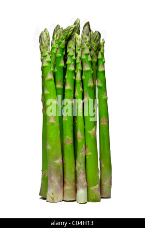 Bundle / bunch fresh green asparagus cut out isolated on white background. Charles Lupica Stock Photo