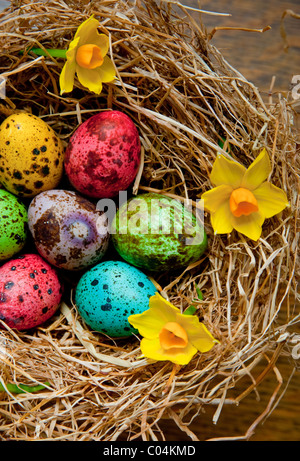 colorful dyed easter quail eggs in hay nest Stock Photo
