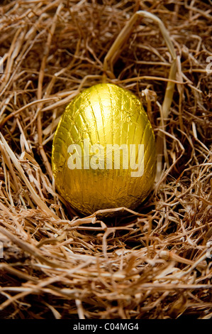 Single Gold foil wrapped chocolate easter egg in a hay birds nest on an oak table. Stock Photo