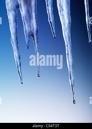 Melting icicles isolated on blue background Stock Photo