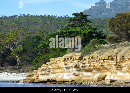Painted Cliffs as seen from sea, Maria Island National Park, Tasmania, Australia, South Pacific Stock Photo