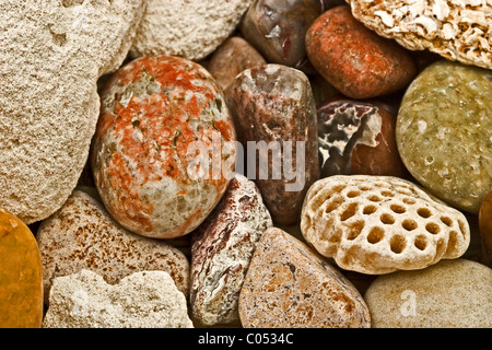 Variety of beach rocks and coquina Stock Photo