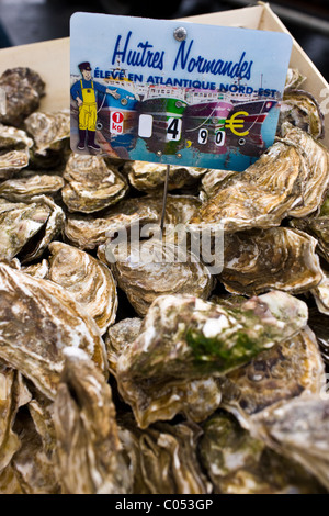 Live oysters, Huitres Normandes, from North Atlantic on sale at farmers market in Normandy, France Stock Photo