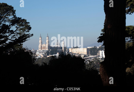 The skyline of San Francisco, California as seen from the top of Buena Vista Park in the city's Haight District. Stock Photo