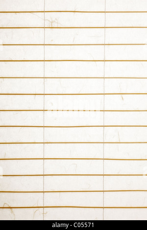 rice paper blinds with twigs of bamboo, backlit with nice paper texture Stock Photo