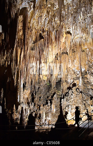 Cave formations in Carlsbad Caverns New Mexico USA Stock Photo