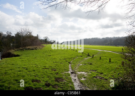 Runnymede  meadow / flood plain on a bright winter day. River Thames is just visible on the left. Runnymede, Surrey. UK. Stock Photo