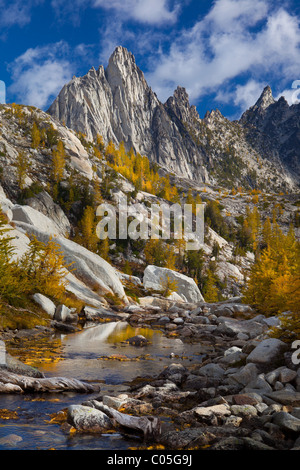 Tamaracks and Prussik Peak in Washington's Enchantment Lakes wilderness area Stock Photo