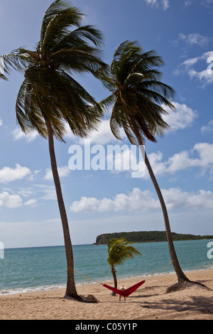 Hammock on coconut palms Sunbay beach in Vieques Island, Puerto Rico. Stock Photo