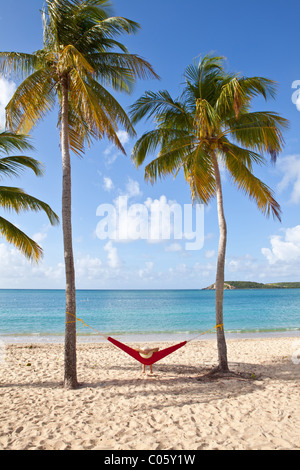 Hammock on coconut palms Sunbay beach in Vieques Island, Puerto Rico. Stock Photo