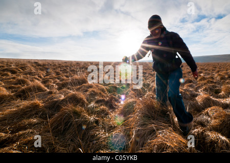 Hiker on Dartmoor in winter sun Stock Photo