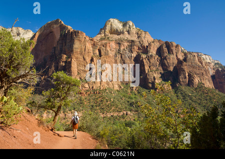 Hiker (model released) on the Emerald Pools trail, Zion National Park, Utah, USA Stock Photo