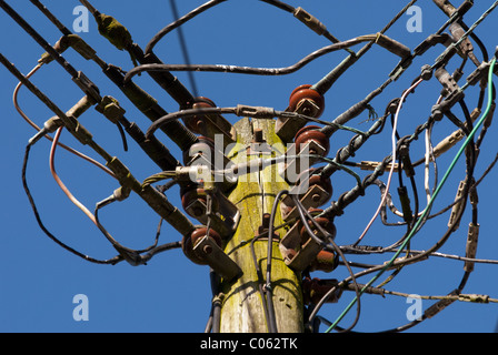 A "telegraph pole" with many overhead utility supply cables or wires on it, against a clear sky. Stock Photo