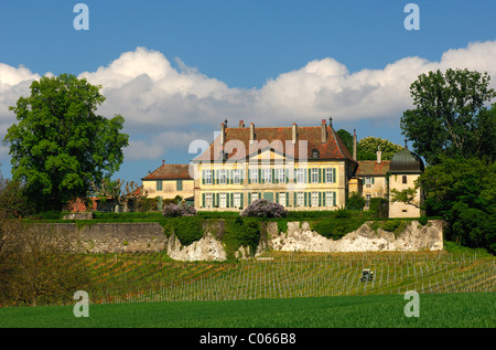 Domaine du Château de Vullierens, Vullierens Castle, Canton of Vaud, Switzerland, Europe Stock Photo