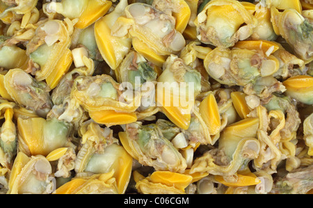 Baby clams Stock Photo