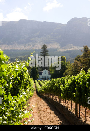 Buitenverwachting Wine Estate in Constantia Stock Photo