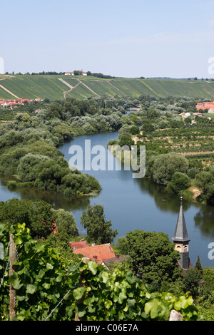 Old Main River with the towns of Koehler, Escherndorf and Nordheim am Main, Mainschleife, loop in the Main River, Mainfranken Stock Photo