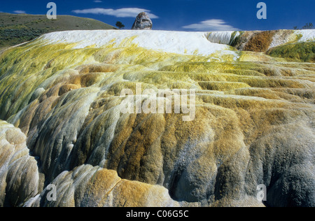 Hot Rocks Terrace Hymen Terrace at Mammoth Hot Springs in Yellowstone National Park is a ...