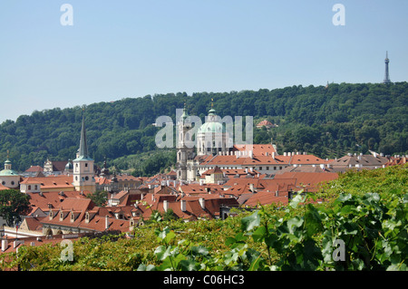 View of Prague from the St. Wenceslas vineyard Svatovaclavska vinice, Old Town, Prague, Czech Republic, Europe Stock Photo