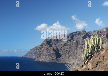 Los Gigantes- giant cliffs with the high of 500-800 meters. One of the highest in the world. They rise directly from the sea. Stock Photo