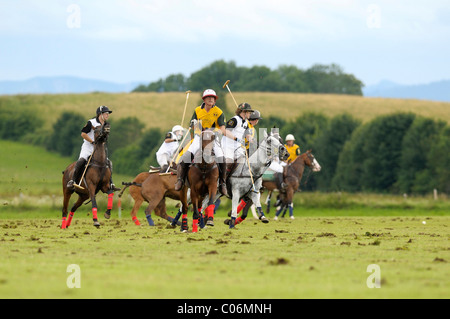 Polo players battling for the ball, Team Koenig & Cie against Team Porsche, polo, polo players, polo tournament Stock Photo