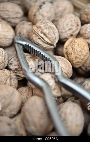 Selective focus photo of walnuts (juglans regia) and nutcracker Stock Photo