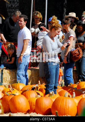 Mark Wahlberg and son Michael Wahlberg picking pumpkins ready for Halloween Los Angeles, California - 14.10.07  : Stock Photo