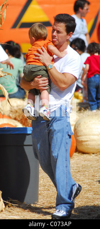 Mark Wahlberg and son Michael Wahlberg picking pumpkins ready for Halloween Los Angeles, California - 14.10.07  : Stock Photo