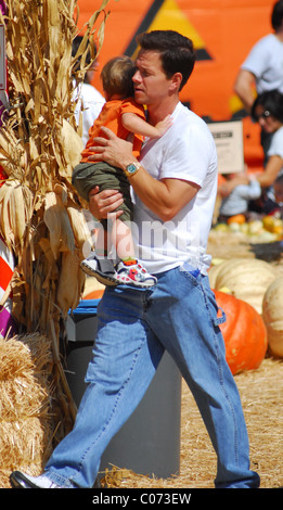 Mark Wahlberg and son Michael Wahlberg picking pumpkins ready for Halloween Los Angeles, California - 14.10.07  : Stock Photo