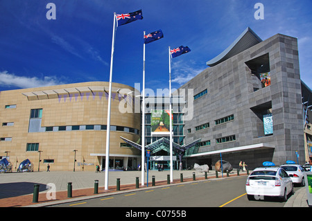 The Museum of New Zealand Te Papa Tongarewa, Cable Street, Wellington, Wellington Region, New Zealand Stock Photo