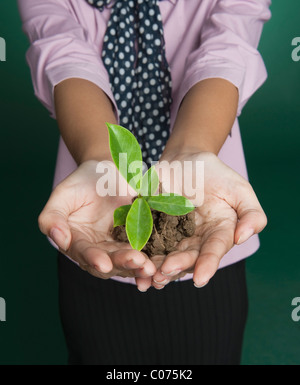 Mid section view of a businesswoman holding a seedling Stock Photo