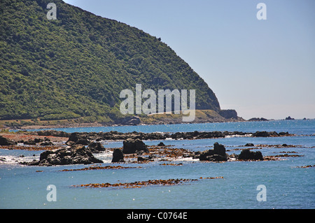 Kaikoura Coast, Kaikoura, Canterbury Region, South Island, New Zealand Stock Photo