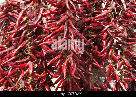Chili peppers, dried peppers Stock Photo