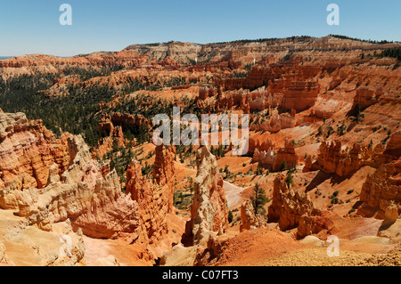 View over Bryce Canyon National Park, Utah, USA, North America Stock Photo