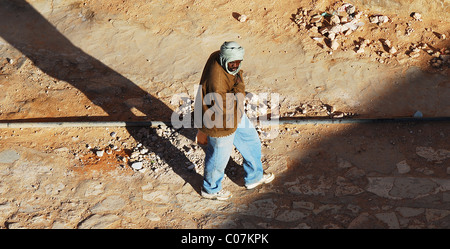 Algeria, Ben Isguen, elevated view of a man walking in a robe Stock Photo