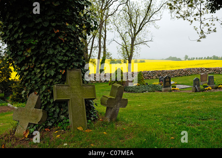 Three old grave crosses at an ivy-covered tree in the cemetery of the village church, Hohenkirchen Stock Photo