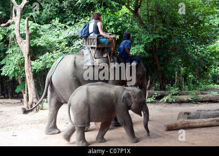 Elephant Camp Mae Taeng Thailand, tourists riding an elephant in the bush. Stock Photo