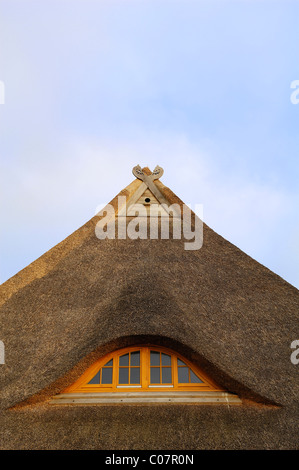 Gable of a thatched roof of a farmhouse with a dormer window and two carved horse heads on the gables, Othenstorf Stock Photo