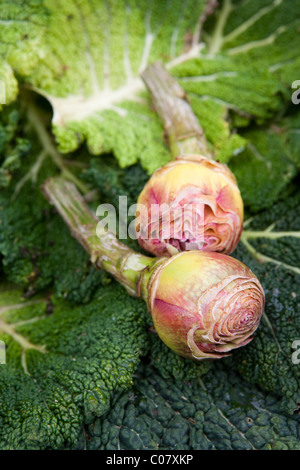 artichokes ready to cook displayed in greengrocer stall vegetables in street market Italy Italian Mediterranean Stock Photo