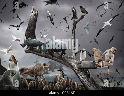 Surreal Wildlife Montage against a dark moody background.. Stock Photo