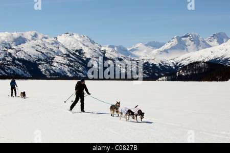 Two women skijoring, sled dogs pulling cross country skiers, dog sport, Alaskan Huskies, frozen Lake Lindeman, mountains behind Stock Photo