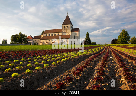 Church of St. George beside the vegetable fields on Reichenau Island, Lake Constance, Germany, Europe Stock Photo
